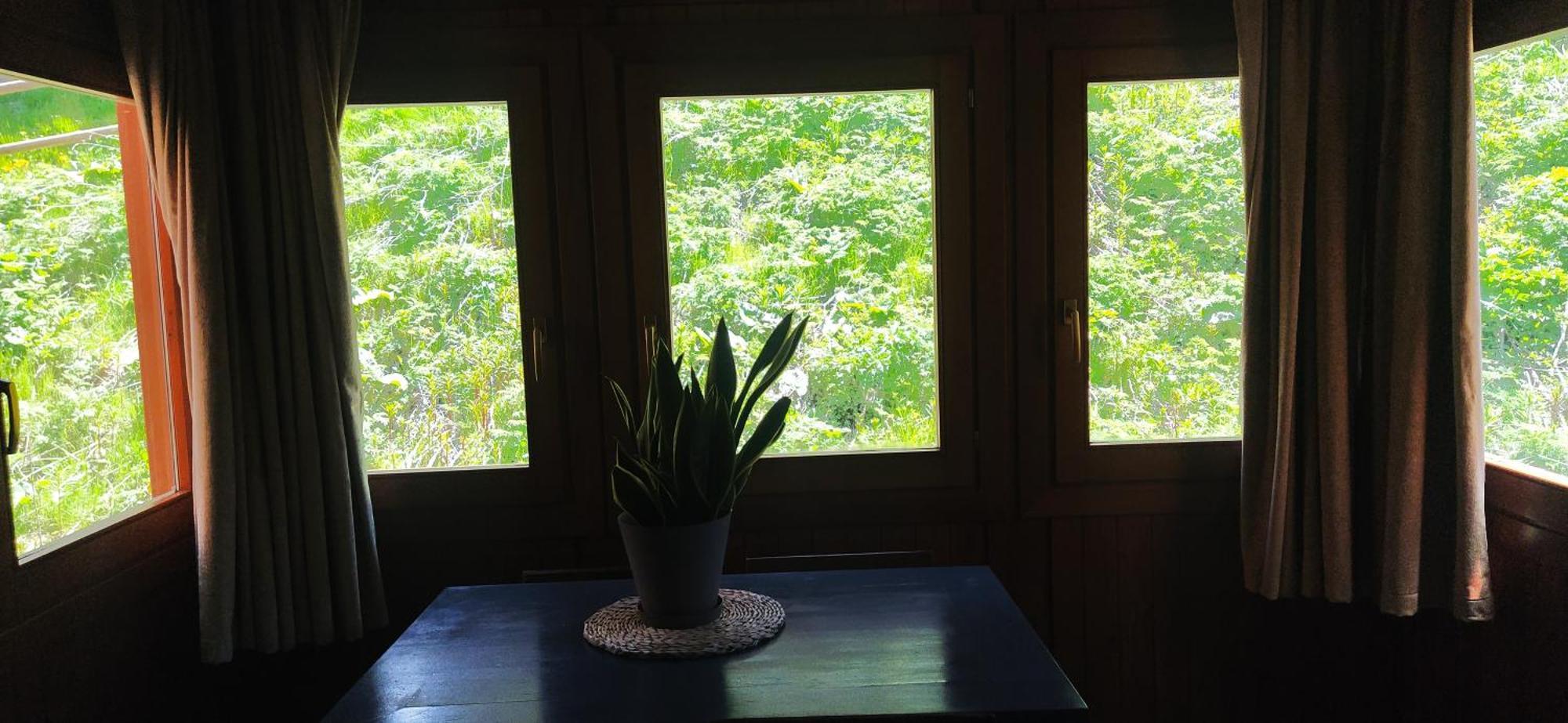 Soldeu Cosy Home المظهر الخارجي الصورة